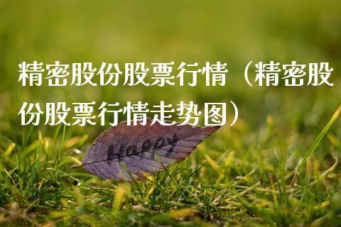 精密股份股票行情（精密股份股票行情走势图）_https://www.fsyjjx.cn_股票指导_第1张