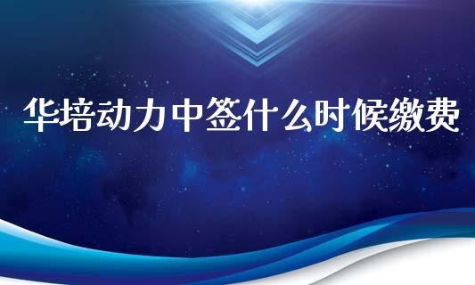 华培动力中签什么时候缴费_https://www.fsyjjx.cn_股市分析_第1张