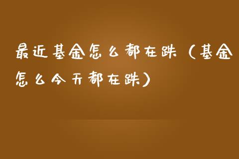 最近基金怎么都在跌（基金怎么今天都在跌）_https://www.fsyjjx.cn_问财精选_第1张