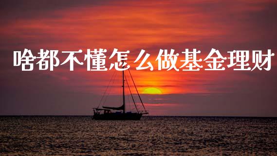 啥都不懂怎么做基金理财_https://www.fsyjjx.cn_理财资讯_第1张
