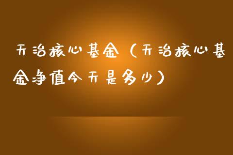 天治核心基金（天治核心基金净值今天是多少）_https://www.fsyjjx.cn_理财资讯_第1张