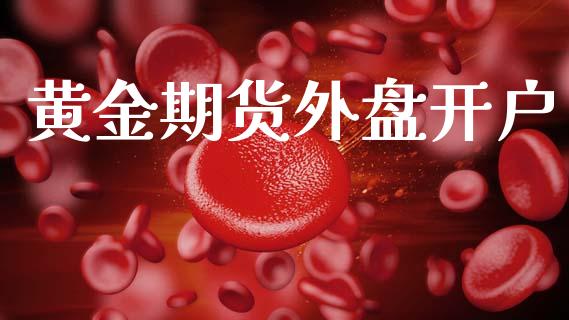 黄金期货外盘开户_https://www.fsyjjx.cn_理财资讯_第1张