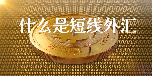 什么是短线外汇_https://www.fsyjjx.cn_股票指导_第1张