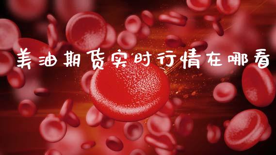 美油期货实时行情在哪看_https://www.fsyjjx.cn_期货资讯_第1张