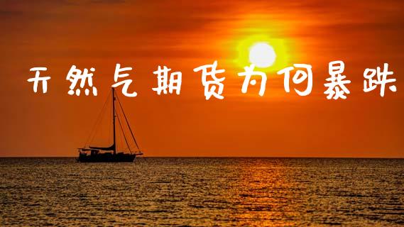 天然气期货为何暴跌_https://www.fsyjjx.cn_期货资讯_第1张