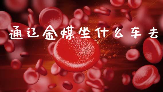 通辽金煤坐什么车去_https://www.fsyjjx.cn_期货在线_第1张