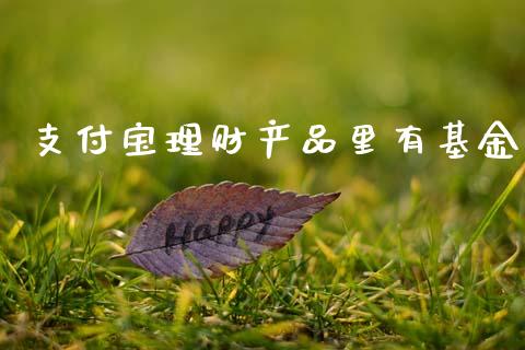 支付宝理财产品里有基金_https://www.fsyjjx.cn_理财资讯_第1张