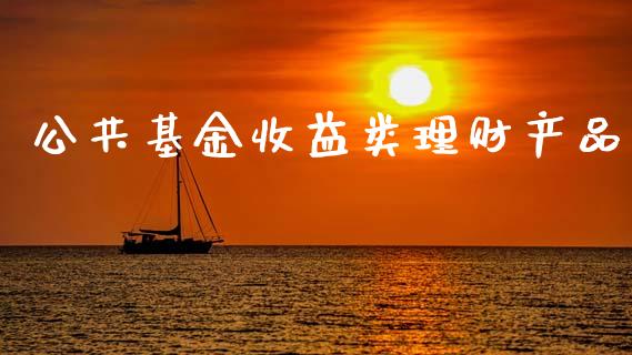 公共基金收益类理财产品_https://www.fsyjjx.cn_问财精选_第1张