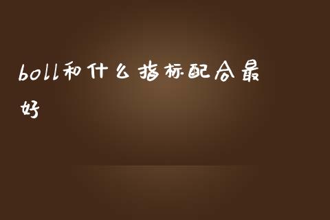 boll和什么指标配合最好_https://www.fsyjjx.cn_股票指导_第1张