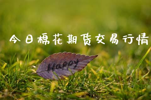 今日棉花期货交易行情_https://www.fsyjjx.cn_期货资讯_第1张