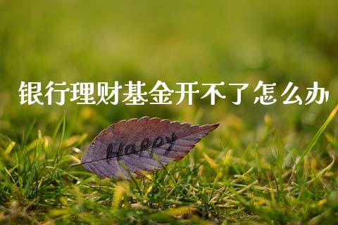 银行理财基金开不了怎么办_https://www.fsyjjx.cn_理财资讯_第1张