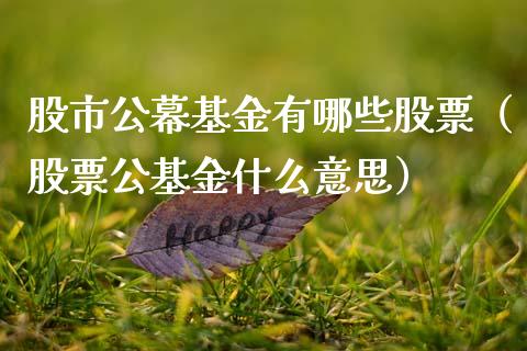 股市公幕基金有哪些股票（股票公基金什么意思）_https://www.fsyjjx.cn_理财资讯_第1张