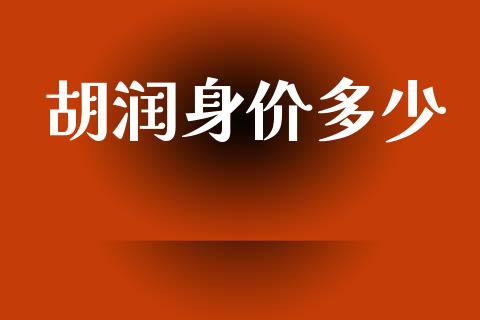 胡润身价多少_https://www.fsyjjx.cn_期货研报_第1张