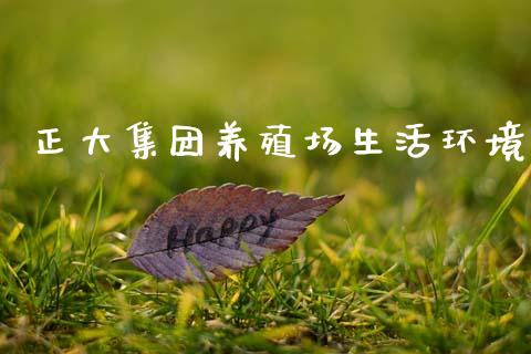 正大集团养殖场生活环境_https://www.fsyjjx.cn_期货资讯_第1张