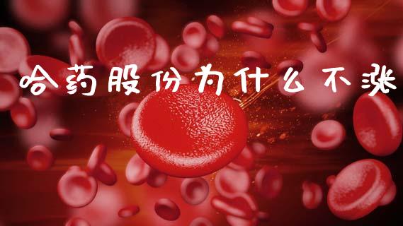 哈药股份为什么不涨_https://www.fsyjjx.cn_期货在线_第1张