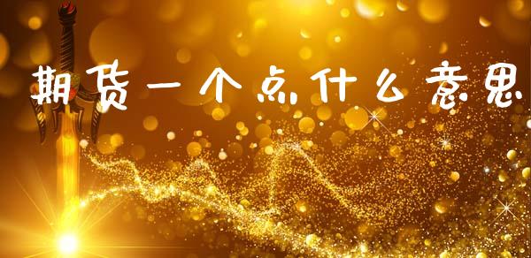 期货一个点什么意思_https://www.fsyjjx.cn_期货资讯_第1张