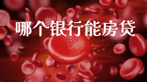哪个银行能房贷_https://www.fsyjjx.cn_期货资讯_第1张