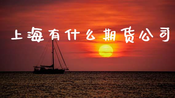 上海有什么期货公司_https://www.fsyjjx.cn_股市分析_第1张