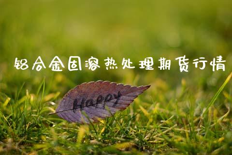 铝合金固溶热处理期货行情_https://www.fsyjjx.cn_期货研报_第1张