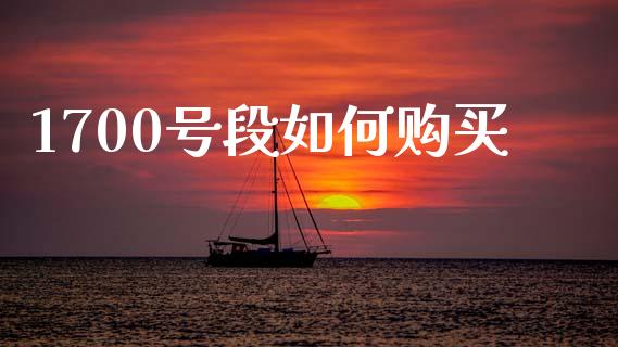1700号段如何购买_https://www.fsyjjx.cn_期货在线_第1张