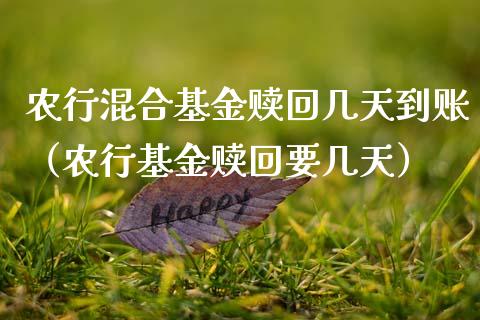 农行混合基金赎回几天到账（农行基金赎回要几天）_https://www.fsyjjx.cn_理财资讯_第1张