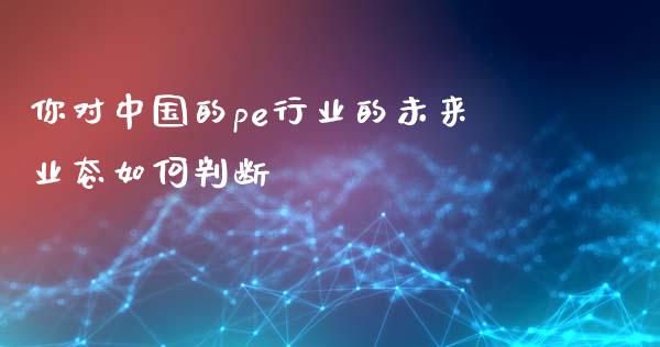 你对中国的pe行业的未来业态如何判断_https://www.fsyjjx.cn_股票指导_第1张