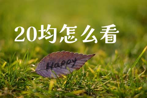 20均怎么看_https://www.fsyjjx.cn_期货研报_第1张