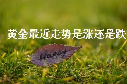 黄金最近走势是涨还是跌_https://www.fsyjjx.cn_期货资讯_第1张