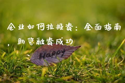 企业如何拉投资：全面指南，助您融资成功_https://www.fsyjjx.cn_股票指导_第1张