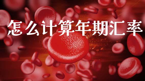 怎么计算年期汇率_https://www.fsyjjx.cn_期货在线_第1张
