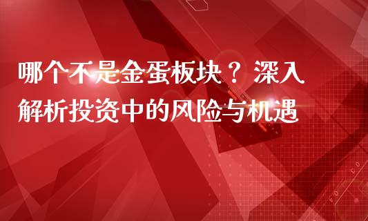 哪个不是金蛋板块？ 深入解析投资中的风险与机遇_https://www.fsyjjx.cn_期货研报_第1张