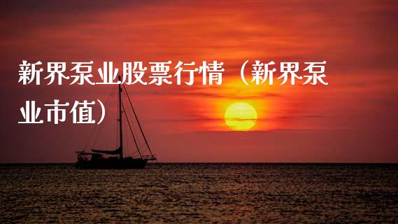 新界泵业股票行情（新界泵业市值）_https://www.fsyjjx.cn_股市分析_第1张