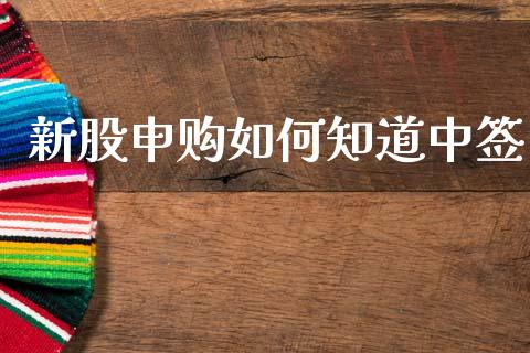 新股申购如何知道中签_https://www.fsyjjx.cn_期货研报_第1张