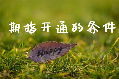 期指开通的条件_https://www.fsyjjx.cn_期货研报_第1张