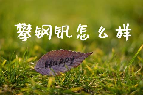 攀钢钒怎么样_https://www.fsyjjx.cn_期货研报_第1张