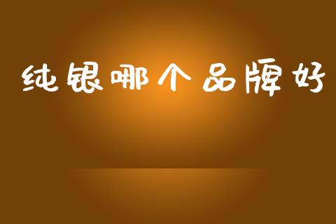 纯银哪个品牌好_https://www.fsyjjx.cn_期货资讯_第1张
