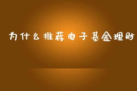 为什么推荐电子基金理财_https://www.fsyjjx.cn_问财精选_第1张