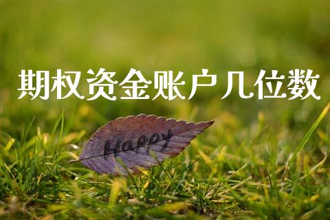 期权资金账户几位数_https://www.fsyjjx.cn_问财精选_第1张