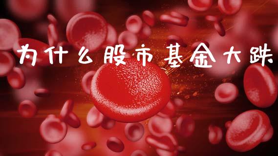 为什么股市基金大跌_https://www.fsyjjx.cn_理财资讯_第1张