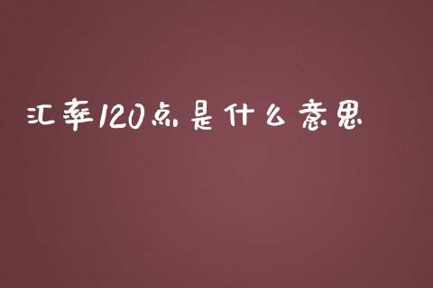汇率120点是什么意思_https://www.fsyjjx.cn_期货在线_第1张