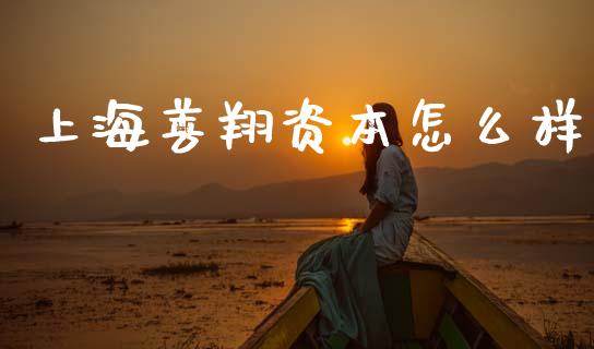 上海善翔资本怎么样_https://www.fsyjjx.cn_期货资讯_第1张