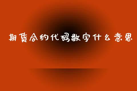 期货合约代码数字什么意思_https://www.fsyjjx.cn_股指期货_第1张