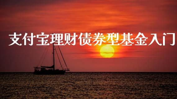 支付宝理财债券型基金入门_https://www.fsyjjx.cn_理财资讯_第1张