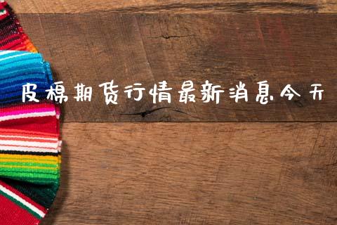 皮棉期货行情最新消息今天_https://www.fsyjjx.cn_期货研报_第1张