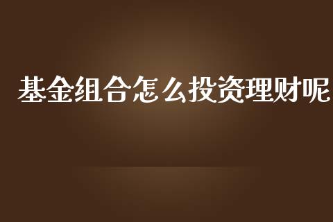 基金组合怎么投资理财呢_https://www.fsyjjx.cn_问财精选_第1张