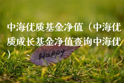 中海优质基金净值（中海优质成长基金净值查询中海优）_https://www.fsyjjx.cn_问财精选_第1张