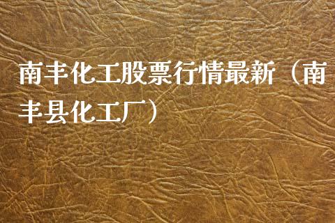 南丰化工股票行情最新（南丰县化工厂）_https://www.fsyjjx.cn_股指期货_第1张