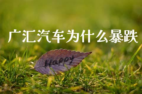 广汇汽车为什么暴跌_https://www.fsyjjx.cn_问财精选_第1张