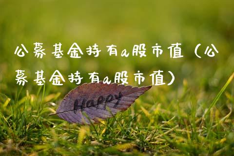公募基金持有a股市值（公募基金持有a股市值）_https://www.fsyjjx.cn_理财资讯_第1张