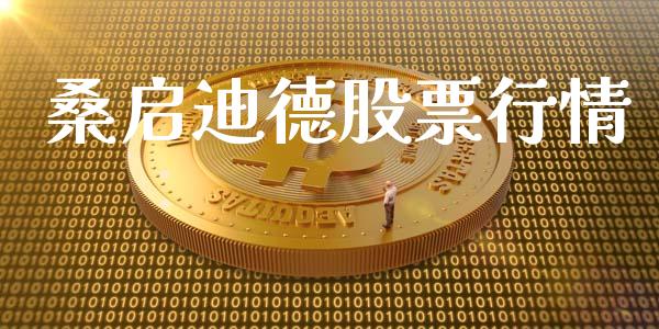 桑启迪德股票行情_https://www.fsyjjx.cn_股市分析_第1张